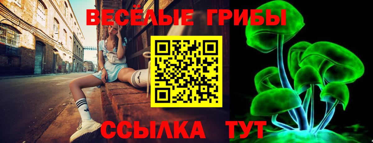 Псилоцибиновые грибы мицелий  Вход с VPN  Казань 