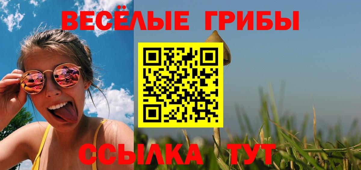Псилоцибиновые грибы Cubensis Казань